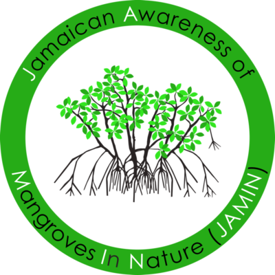 Jamaica Awareness Of Mangroves In Nature - Mangroves Tree Clip Art (400x400), Png Download