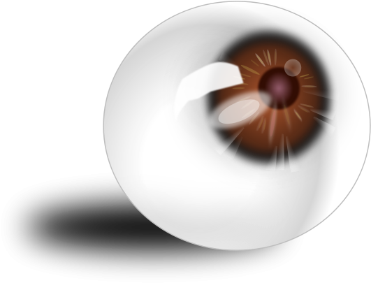 Eyeball Brown Png Images - Eye (600x450), Png Download