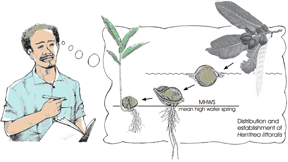 Read More About Our Key Educational Programs Around - Sketch (999x564), Png Download