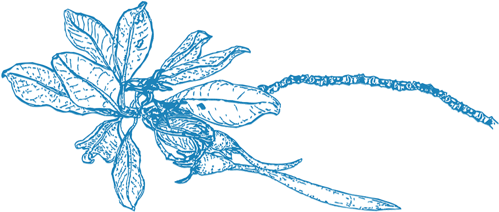 Illustration (1136x430), Png Download