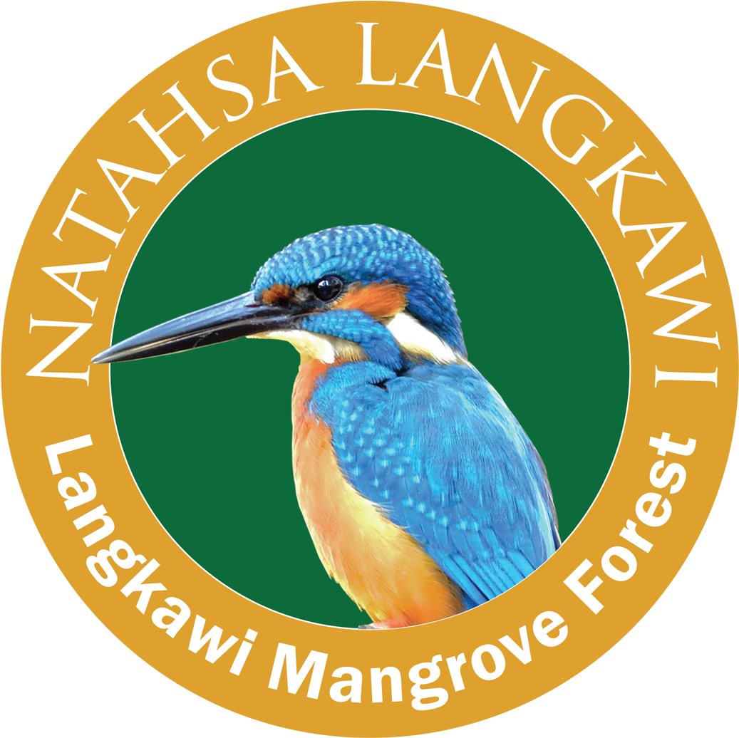 Natasha Langkawi - Kilim Geoforest Park (1046x1047), Png Download