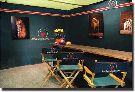 Custom Stall Drapes And Accessories - Horse Stall Curtain (497x331), Png Download