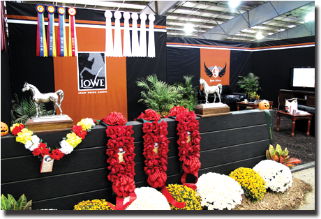 Custom Stall Drapes And Accessories - Stall Drapes (497x331), Png Download