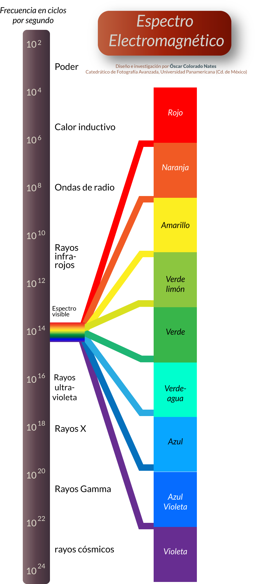 El Espectro Visible - Diagram (901x2048), Png Download