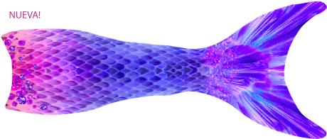 Next - Fish (500x375), Png Download