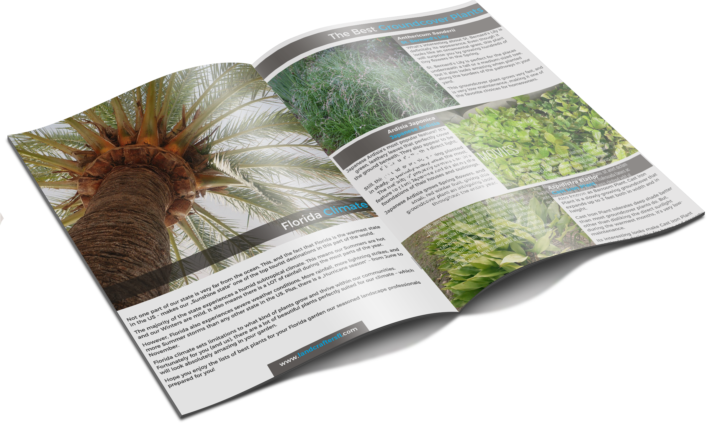 Get Your Free E-book - Leaning Against A Palm Tree Looking Up At The Sky Tropical (2395x1452), Png Download