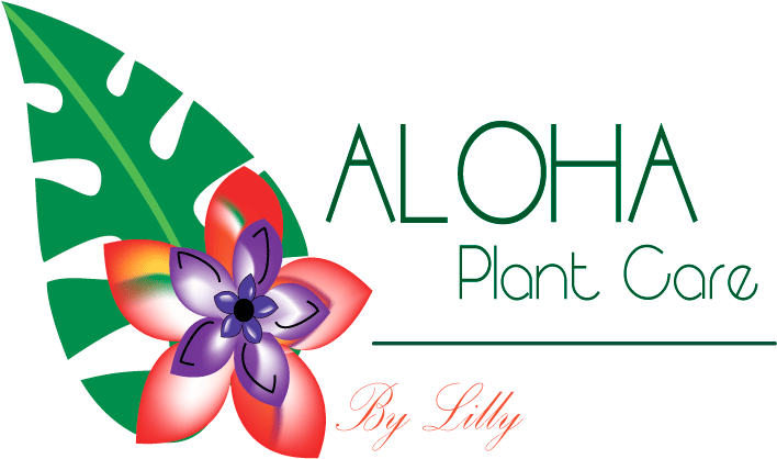 Tropical Leaf (800x433), Png Download