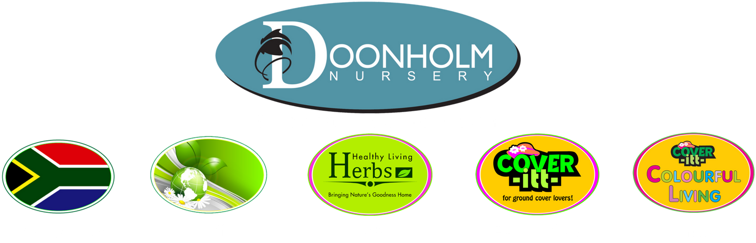 Doonholm Nursery (1800x500), Png Download