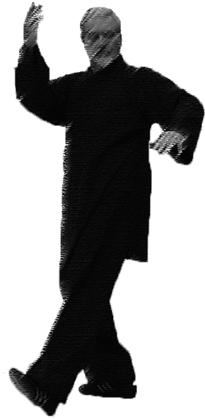 Paul Doing Tortoise - Silhouette (300x604), Png Download