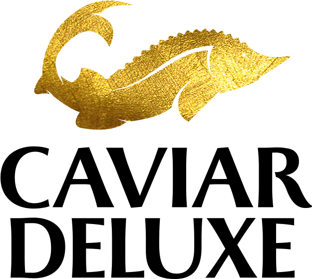 Alligator (900x900), Png Download