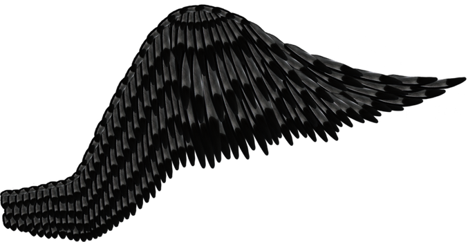Wings Png - Black Angel Wing Transparent (677x350), Png Download