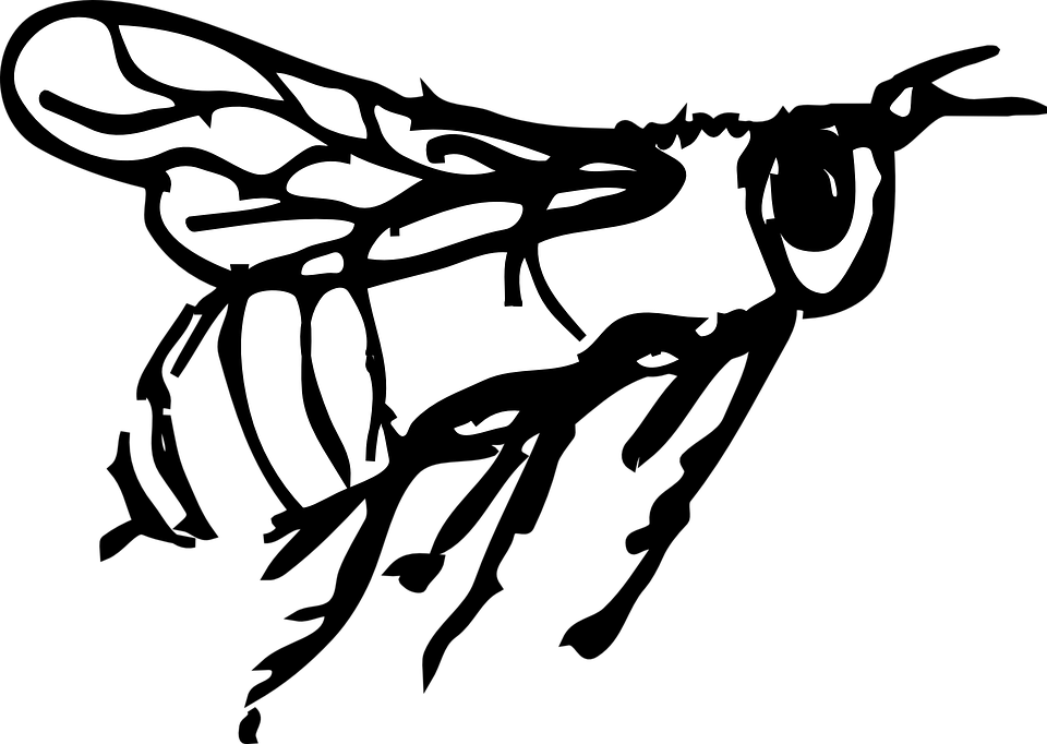 Bee Flying Stripes Wings Insect - รูป แมลง ลาย เส้น (960x682), Png Download