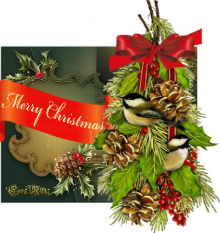 Feliz Navidad Y Venturoso Año Nuevo - Mary Lake Thompson Chickadee Hanging Christmas Holly (451x479), Png Download