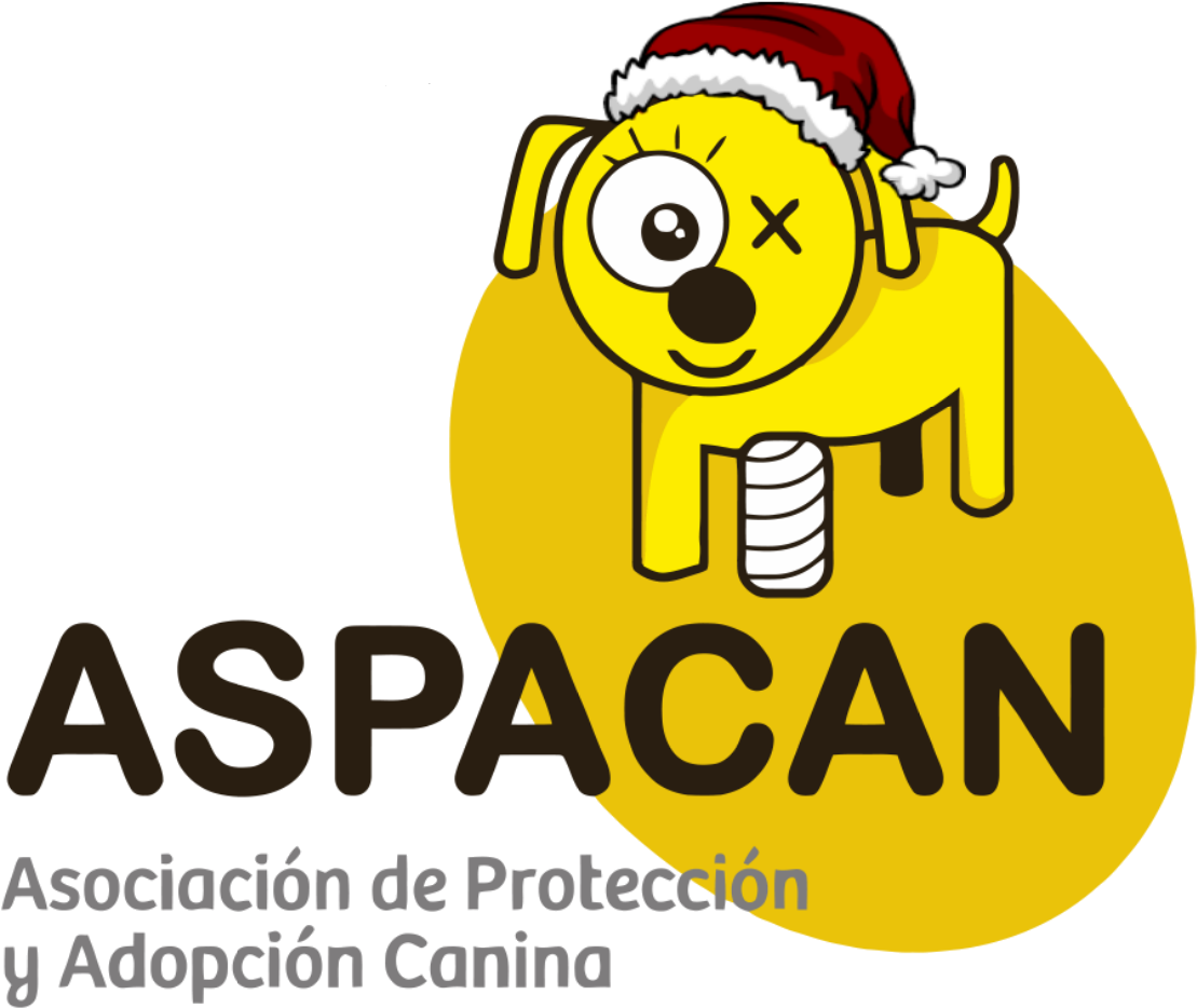 ¡¡feliz Navidad Y Feliz Año Nuevo - My Driveway Asphalt Or Concrete (1309x1015), Png Download