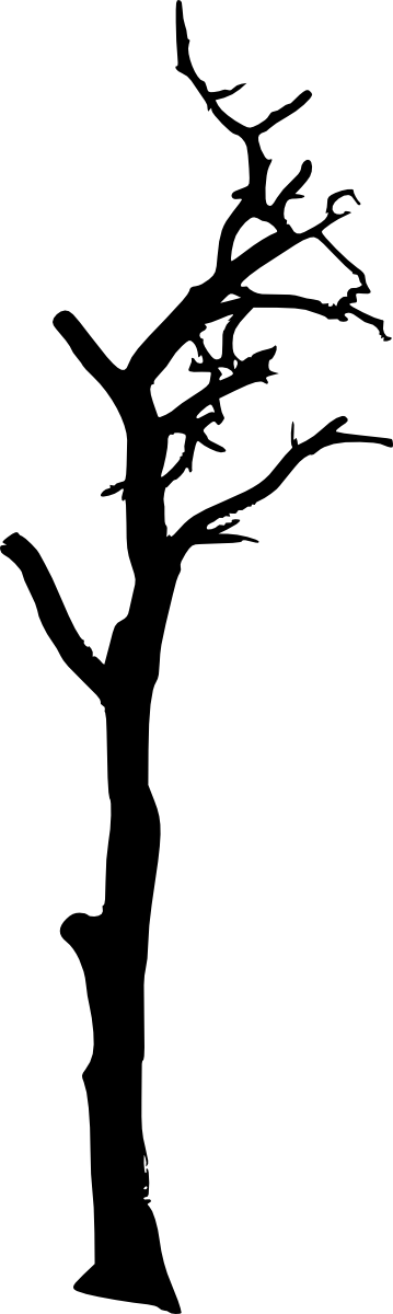 10 Spooky Dead Tree Silhouette Vol - Portable Network Graphics (359x1200), Png Download