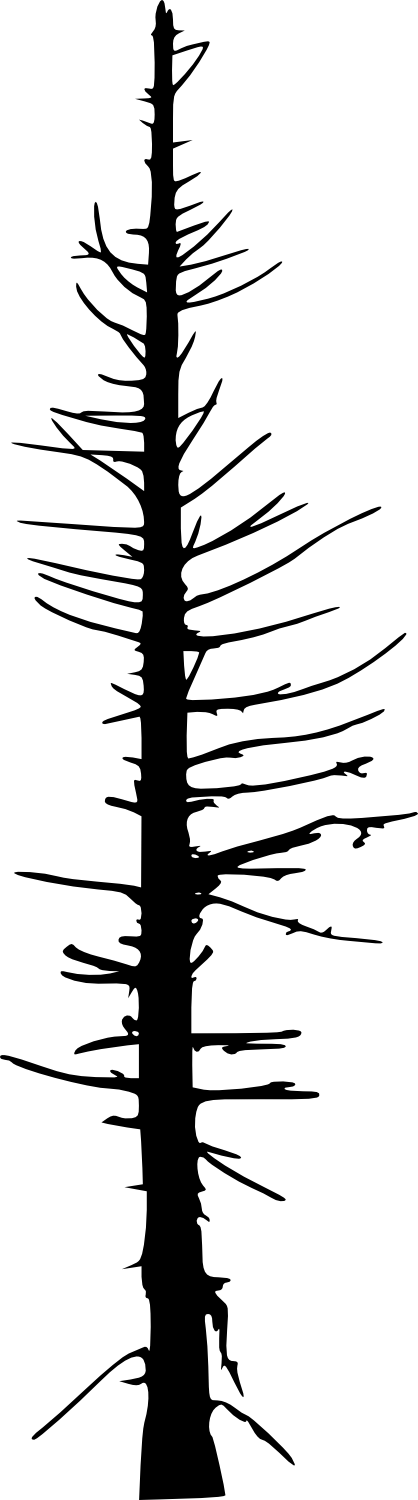 Dead Tree Silhouette Png Download - Portable Network Graphics (418x1500), Png Download