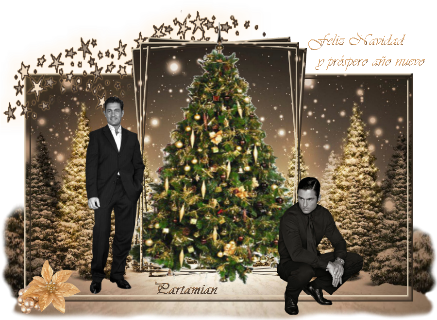Beth - Firs Christmas Trees Snow Night 32x24 Print Poster (900x675), Png Download
