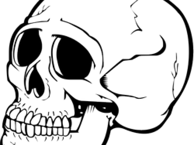 Skeleton Clipart Nose - Sitzplatz New Rock 40082 4 Toilet Seat (640x480), Png Download