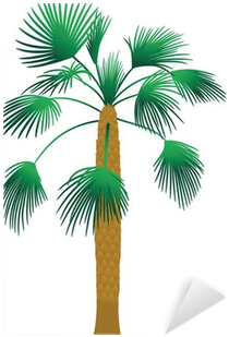 Palm Trees (400x400), Png Download