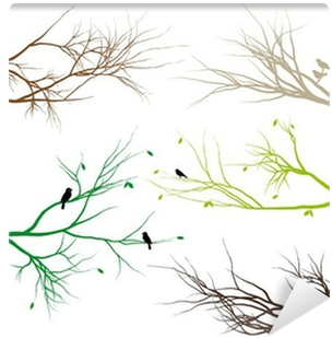 Tree Branches With Leaves (400x400), Png Download