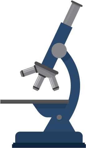 47 Pm 66838 Respiratory 1/6/2016 - Illustration (338x541), Png Download