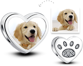 Golden Retriever Puppy (360x360), Png Download