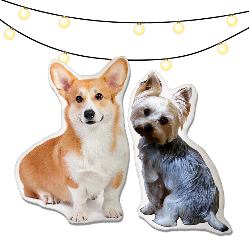 Paw Joy (800x800), Png Download