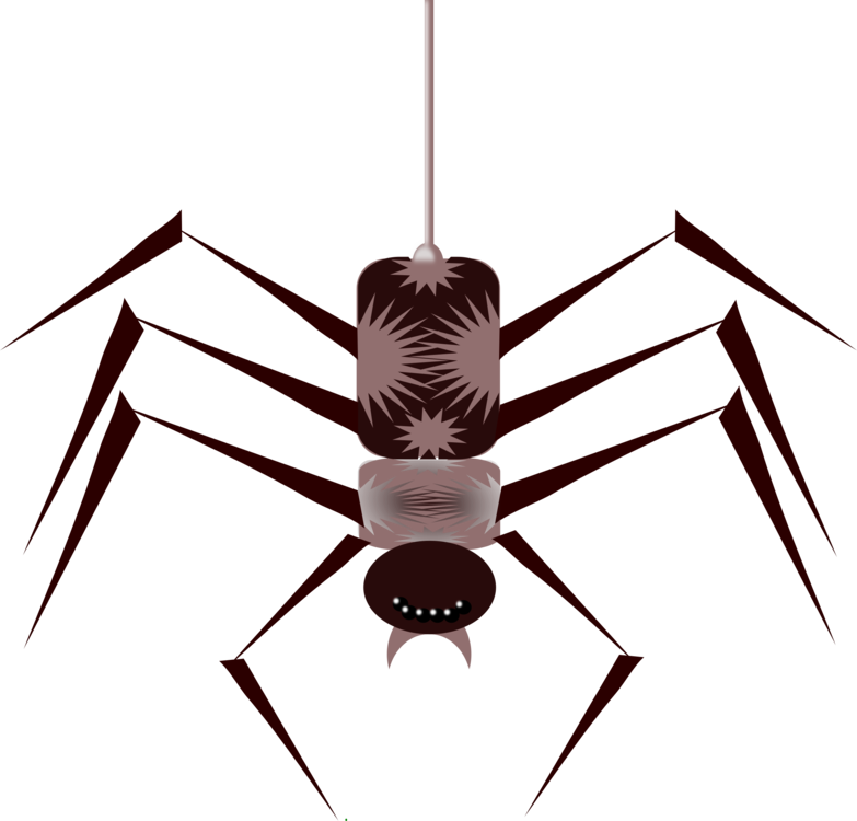 Insects And Spiders Insects And Spiders True Bugs Spiders (783x750), Png Download