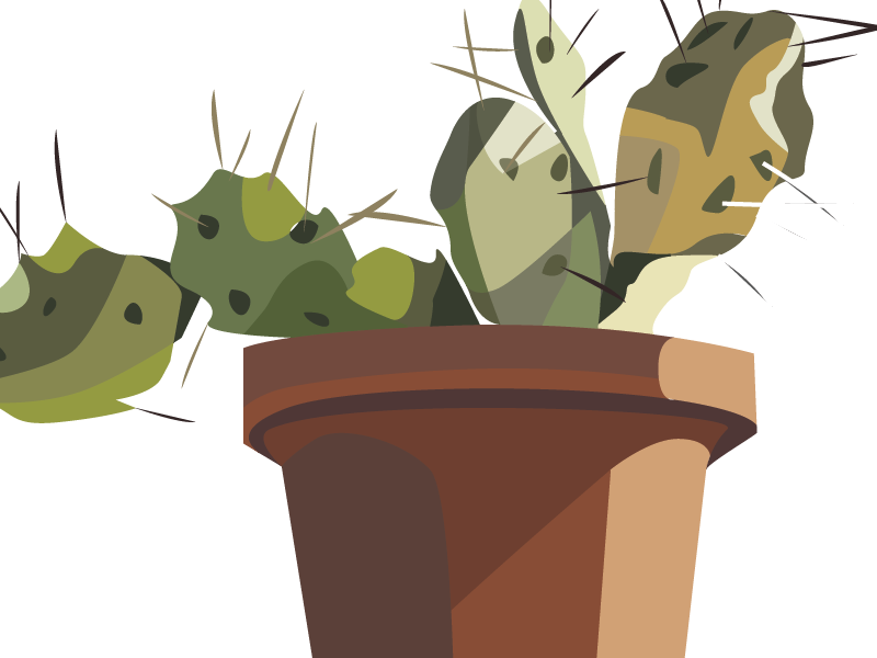 Cactus - Cartoon (800x600), Png Download