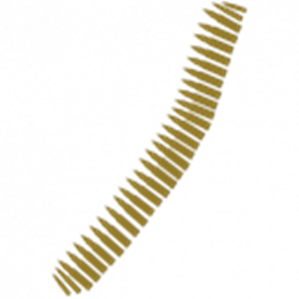 Ammunition Transparent Png - Skirt (420x420), Png Download