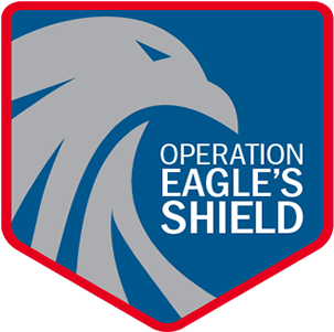 Ice Operation Targeting Public Safety Threats Nets - Washington, D.c. (536x300), Png Download