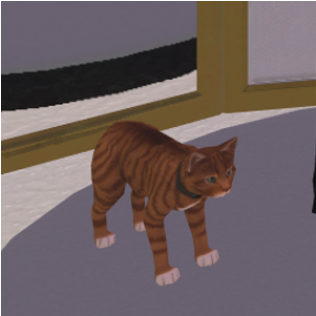 Arabian Mau (600x315), Png Download