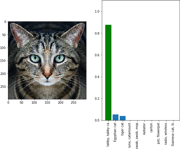 Adversarial Examples - Google Ai Cat Guacamole (602x502), Png Download