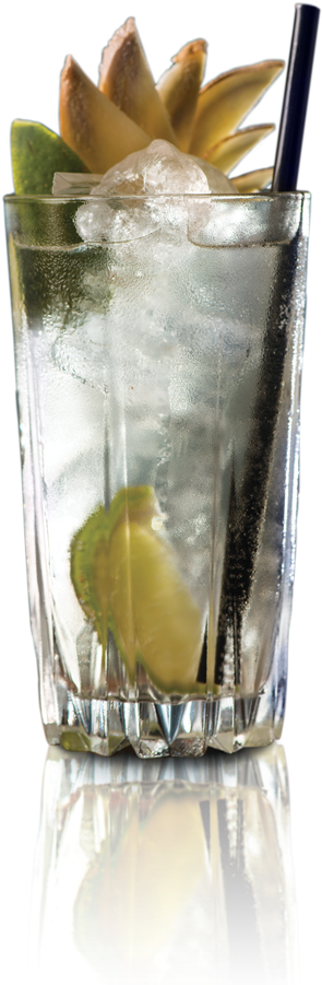 Simple Serves Build Stirred Shaken Muddled Shots - Vodka And Tonic (477x900), Png Download
