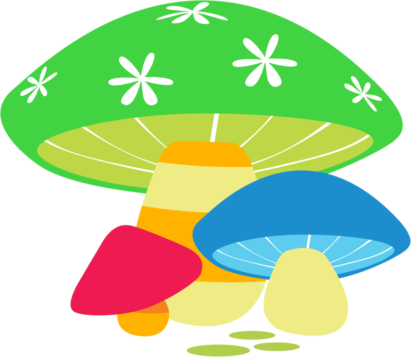 ‿✿⁀shrooms‿✿⁀ (800x694), Png Download