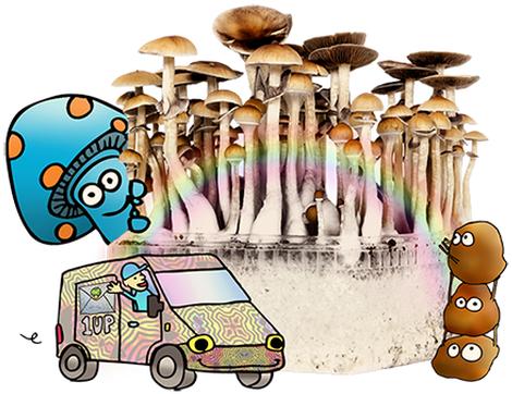 Magic Mushrooms Delivery - Buy Magic Mushrooms (482x372), Png Download