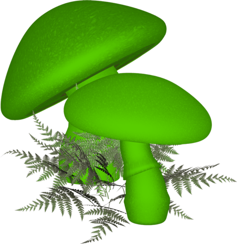 Shrooms ‿✿⁀°••○ - Fairy (779x800), Png Download