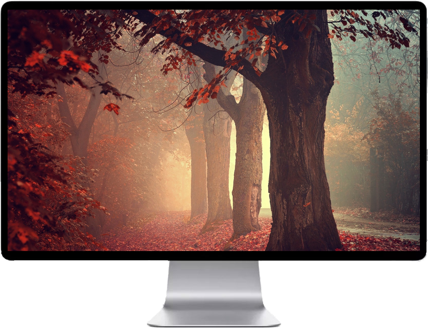 Score 50% - Forest Red Iphone 6 Plus Phone Case (846x650), Png Download