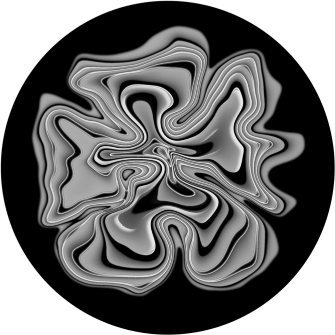 Shrooms (800x800), Png Download