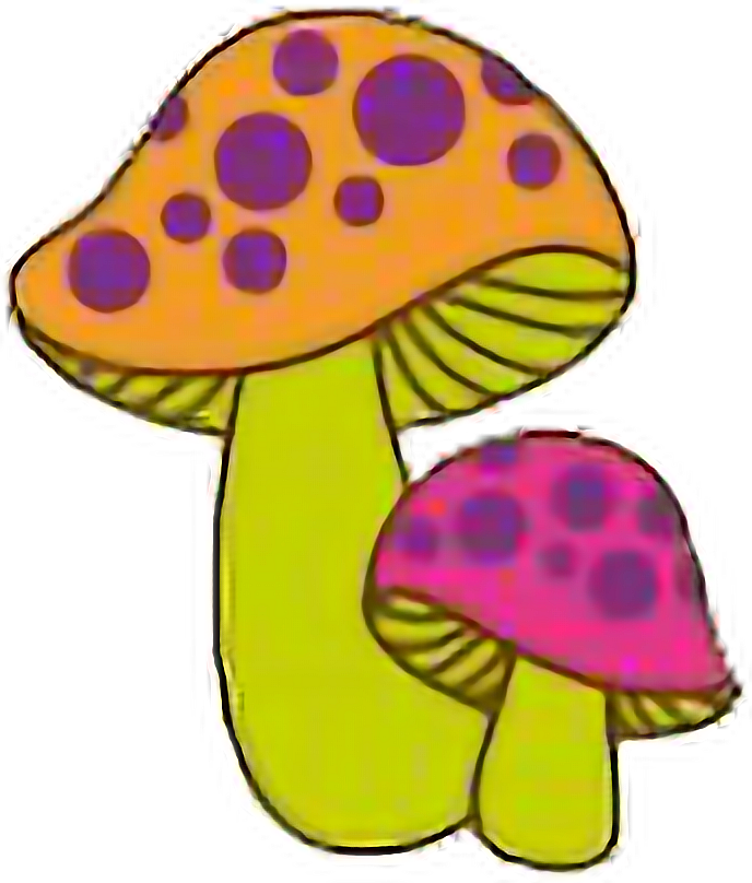 Mushrooms Psychedelic Trippy Shrooms Natnat7w Freetoedi (688x808), Png Download