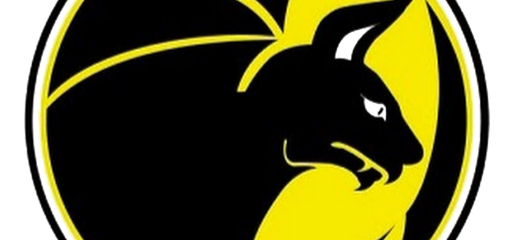 Junior Cancelado - Valencia Firebats (750x350), Png Download