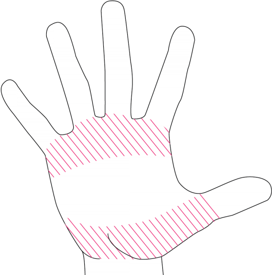 This Is Created By A Small Approximation Of The Metacarpals (600x563), Png Download