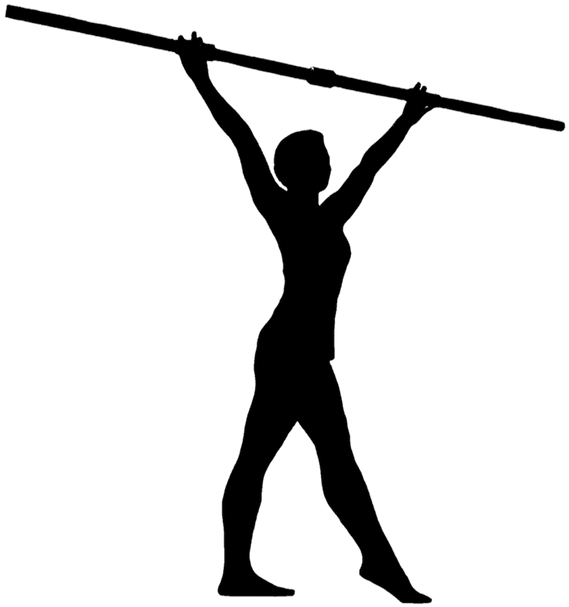 Fitness Cue Symmetry Range Of Motion Rom Flexibility - Physical Fitness (590x640), Png Download