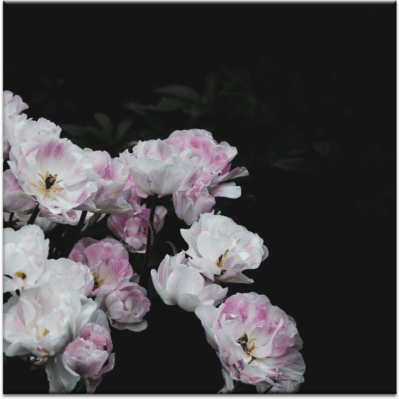 Blushing Blooms - Duvar Kağıdı Tumblr 2018 (900x900), Png Download