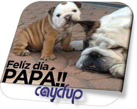 Play With Me Puppy (467x374), Png Download