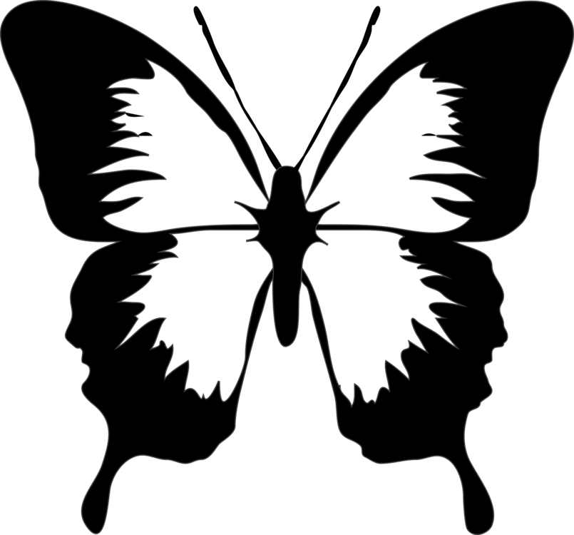 Monarch Butterfly Drawing Download Computer Icons - Butterfly Clip Art (805x750), Png Download
