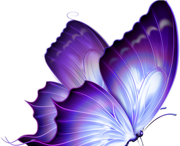 Butterfly Tattoo Designs Png Transparent Images - Purple Butterfly Png (640x480), Png Download