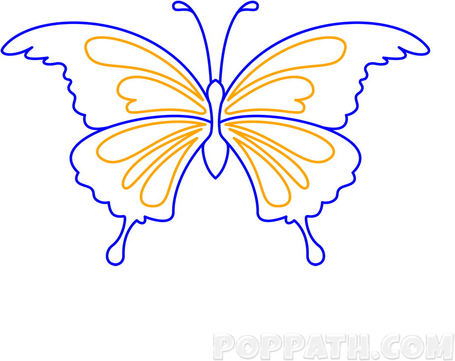 Play Slideshow - Swallowtail Butterfly (1000x1000), Png Download