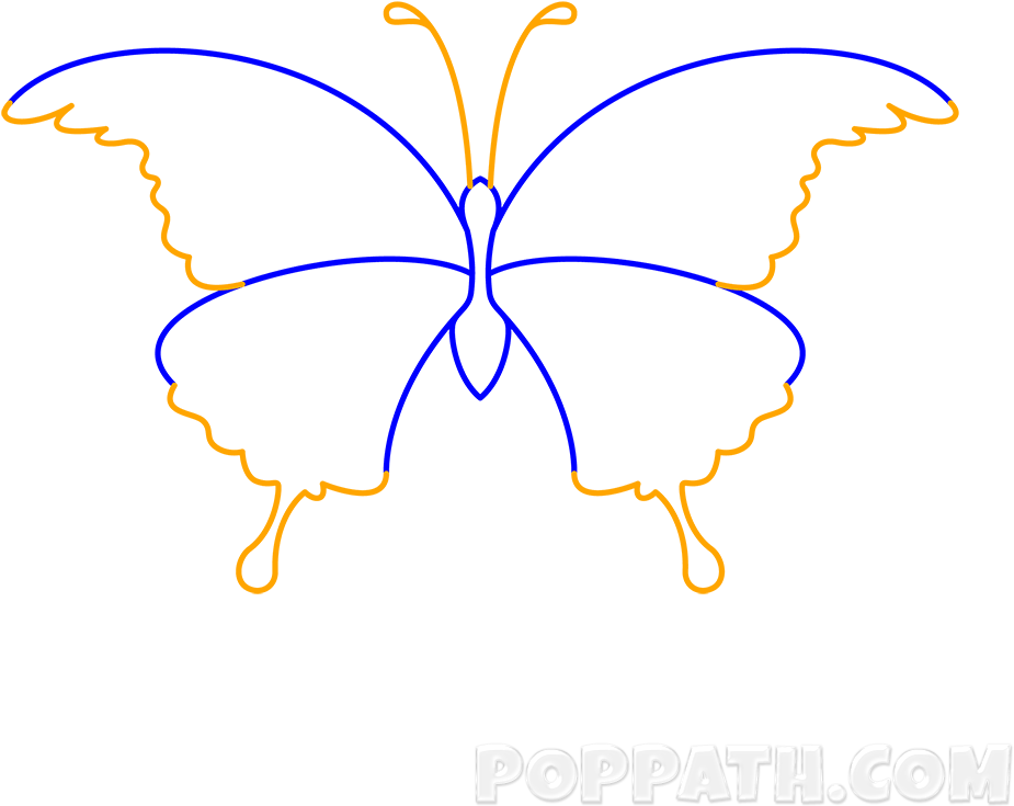 Play Slideshow - Swallowtail Butterfly (1000x1000), Png Download