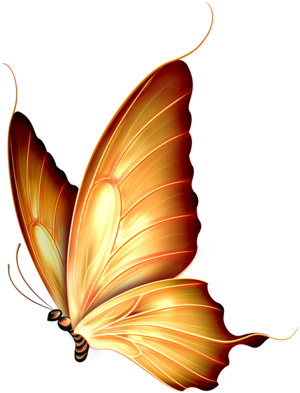 ‿✿⁀butterflies‿✿⁀ - Mariposa En Pintura De Tela (626x800), Png Download